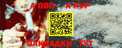 стафф Тверь