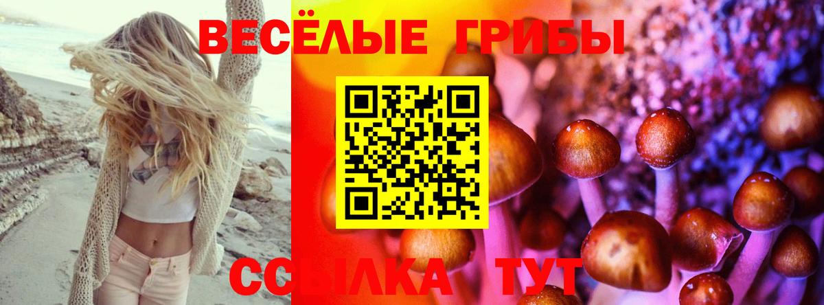 Балашов  Галлюциногенные грибы Psilocybine cubensis  Галлюциногенные грибы GOLDEN TEACHER  где купить   Вход с VPN 